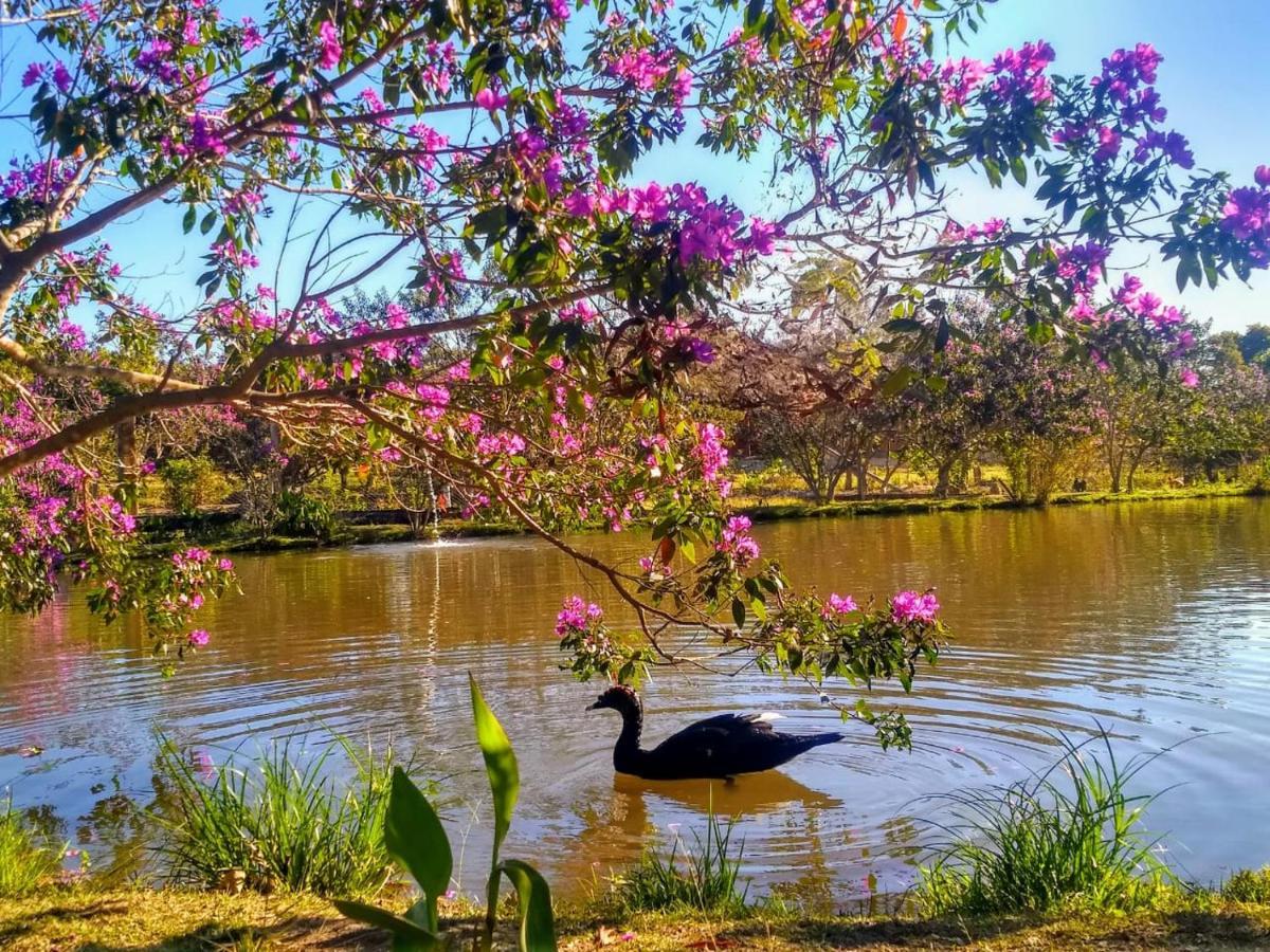 Pousada Chales Do Retiro - Serra Do Cipo Mg Jaboticatubas Exteriér fotografie